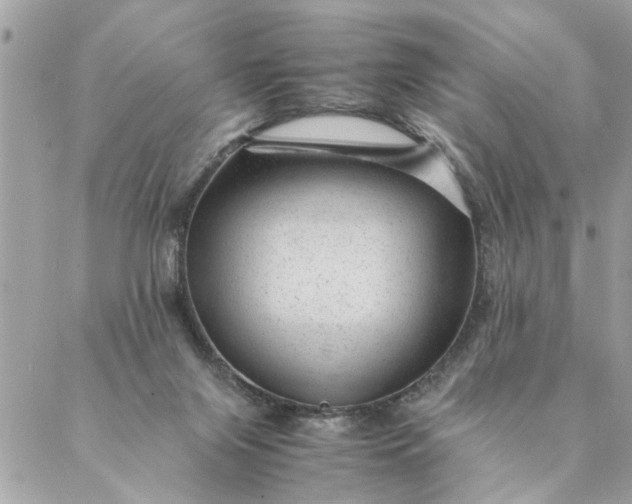 X0000087390071200705042021