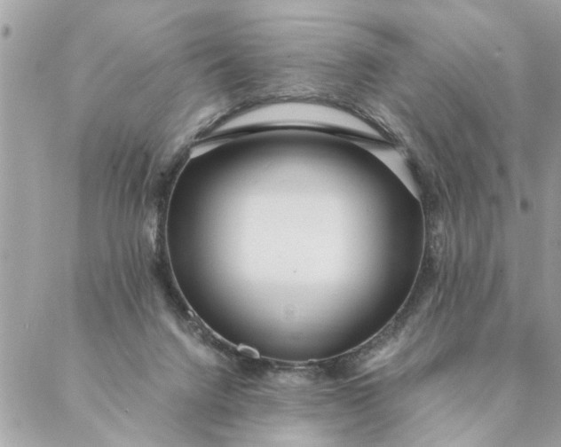 X0000087390072200705042021