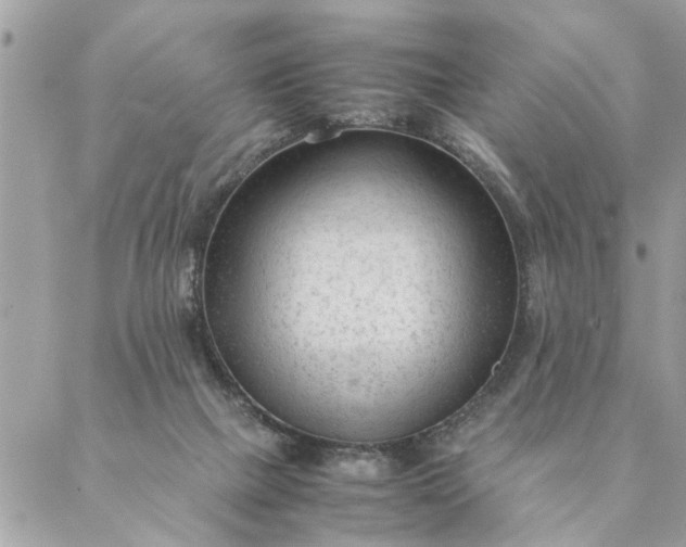 X0000087390073200705042021