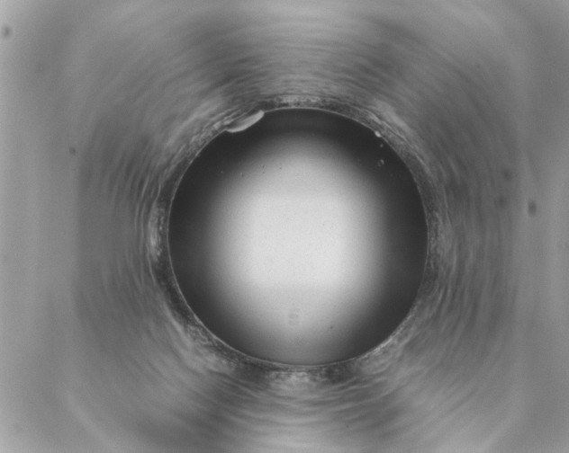 X0000087390074200705042021