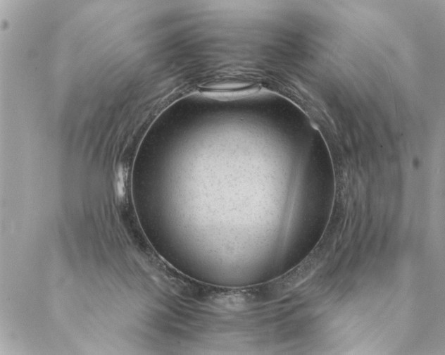 X0000087390075200705042021