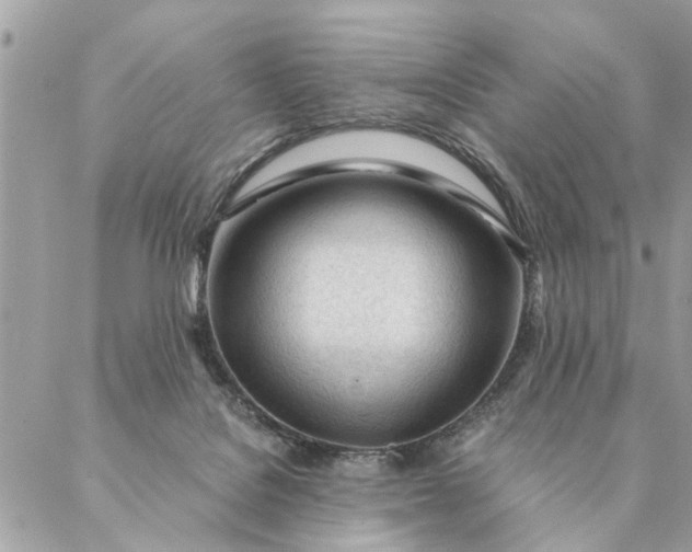 X0000087390076200705042021