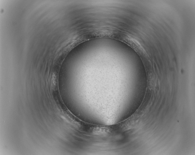 X0000087390077200705042021