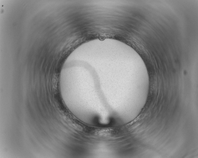 X0000087390078200705042021