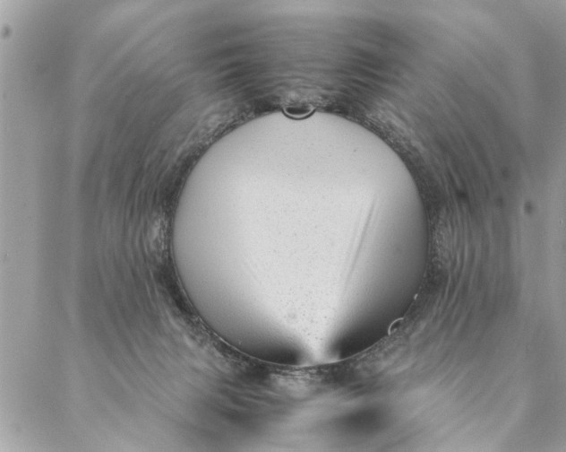 X0000087390079200705042021