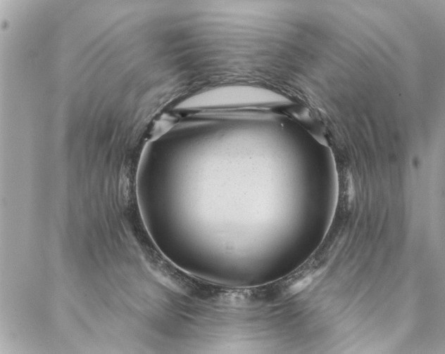 X0000087390080200705042021