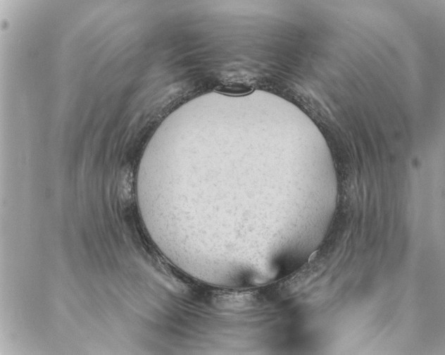 X0000087390081200705042021