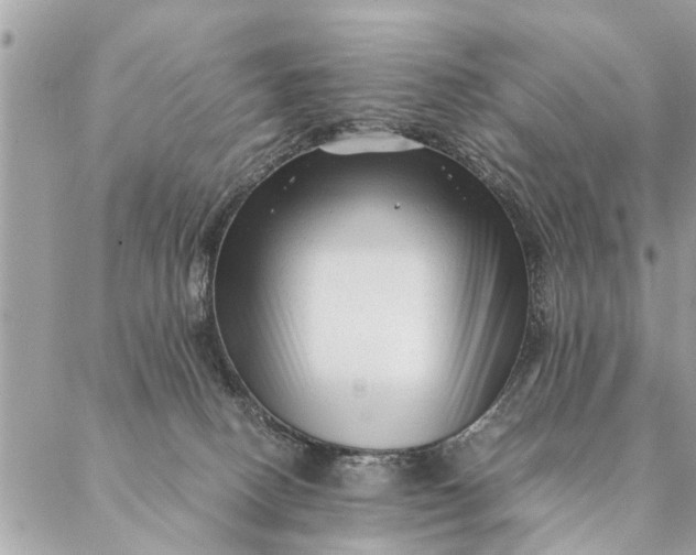 X0000087390082200705042021