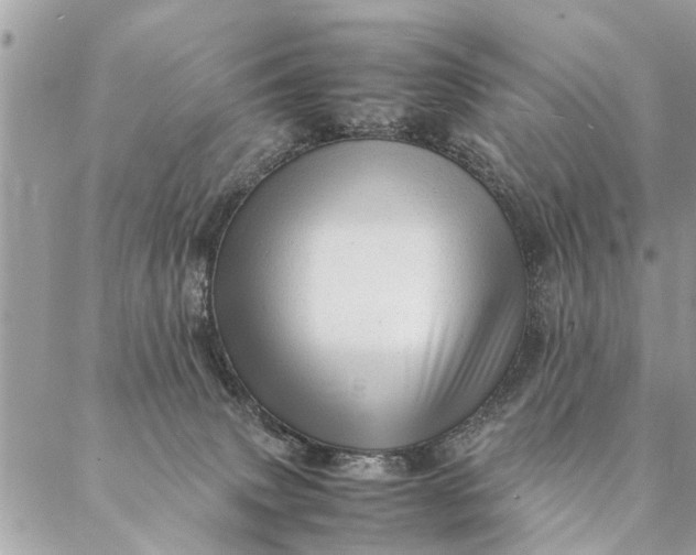 X0000087390083200705042021