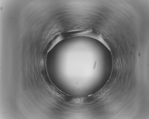 X0000087390084200705042021