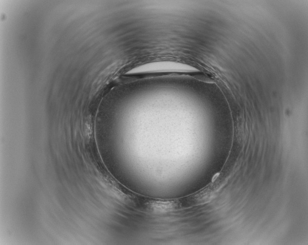 X0000087390085200705042021