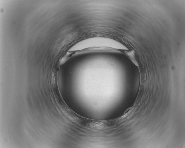 X0000087390086200705042021