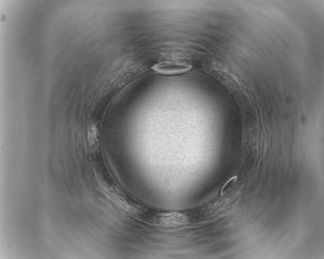 X0000087390087200705042021