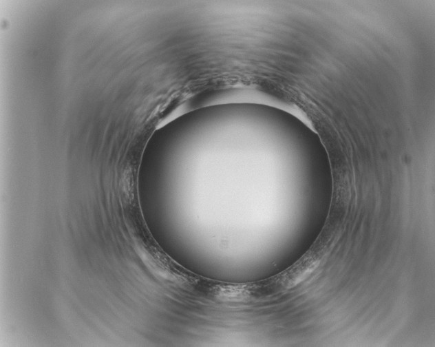 X0000087390088200705042021