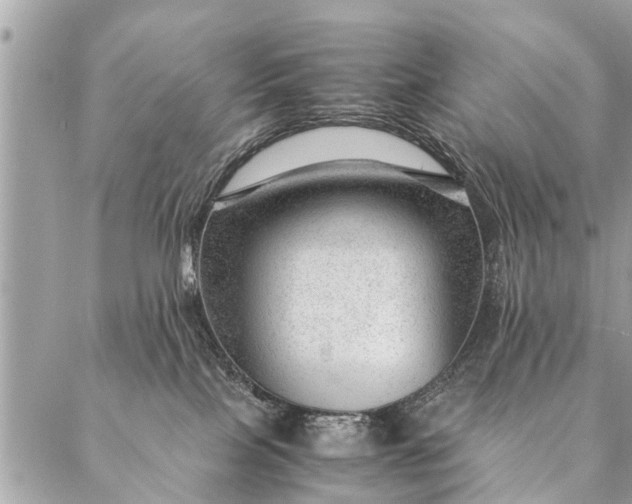 X0000087390089200705042021