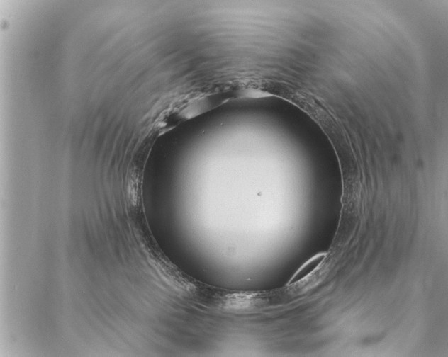 X0000087390090200705042021