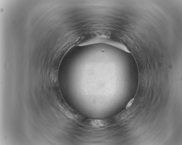 X0000087390091200705042021