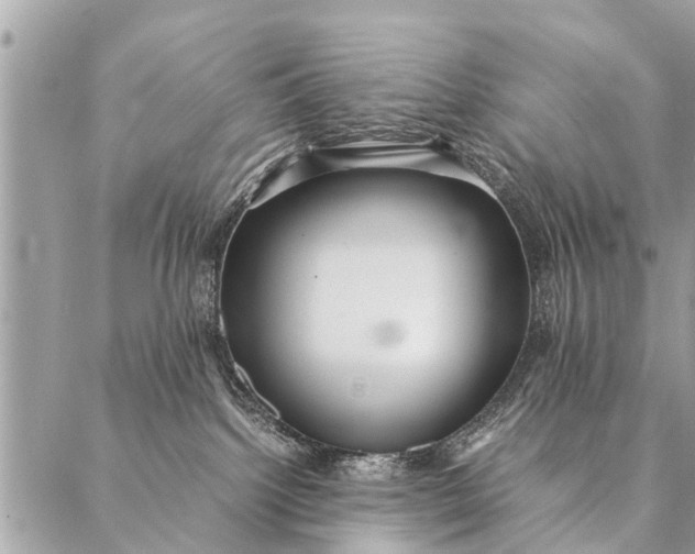 X0000087390092200705042021