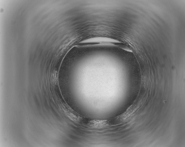 X0000087390093200705042021