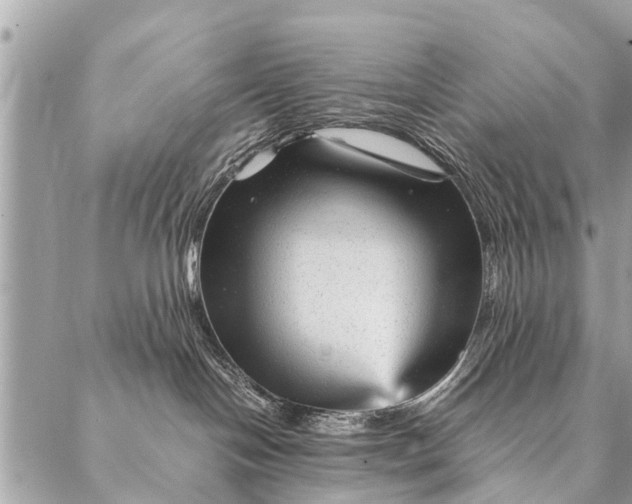 X0000087390094200705042021