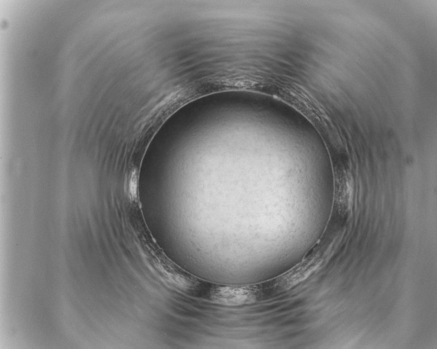 X0000087390095200705042021