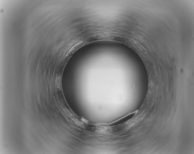 X0000087390096200705042021