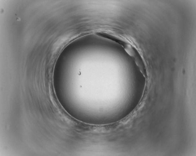 X0000087390097200705042020