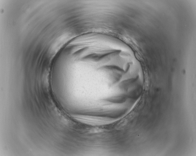 X0000087390098200705042020