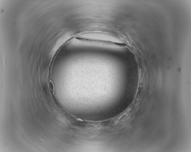 X0000087390099200705042020