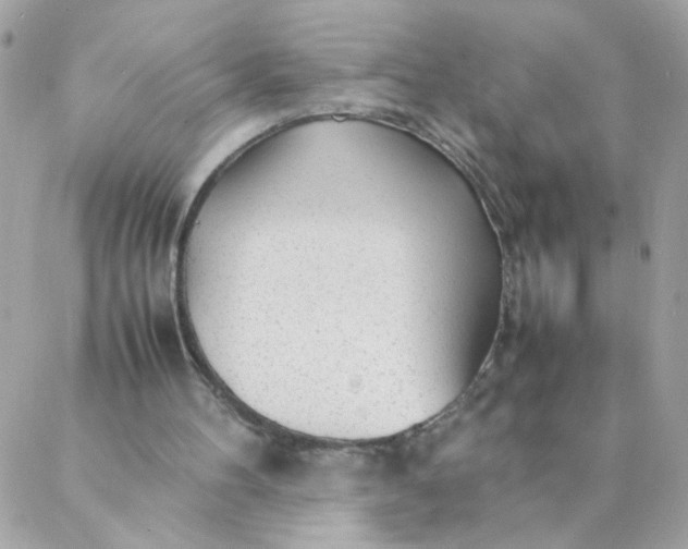 X0000087390100200705042020