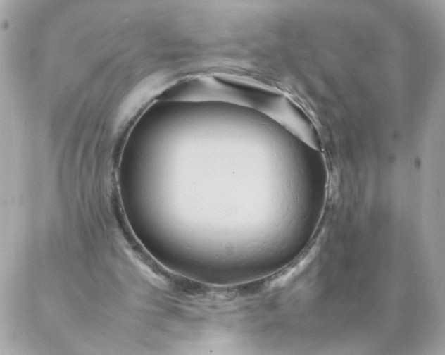 X0000087390101200705042020