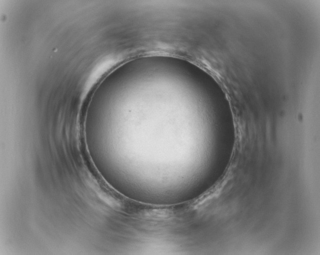 X0000087390102200705042020