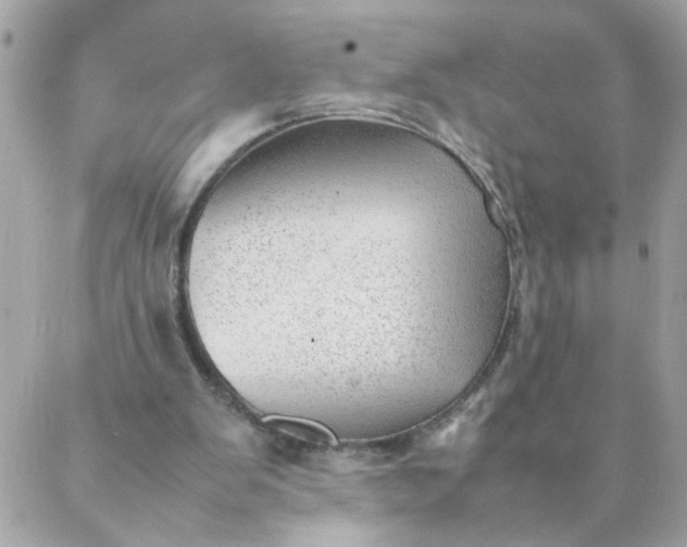 X0000087390103200705042020