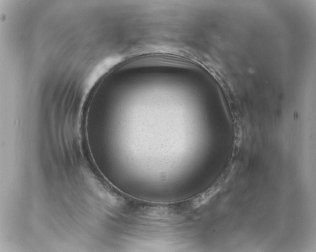 X0000087390104200705042020