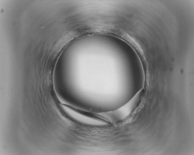 X0000087390105200705042020