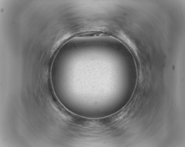 X0000087390107200705042020