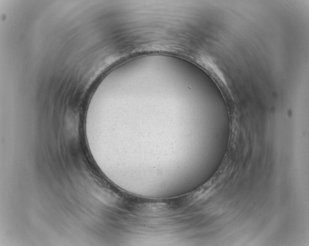 X0000087390108200705042020