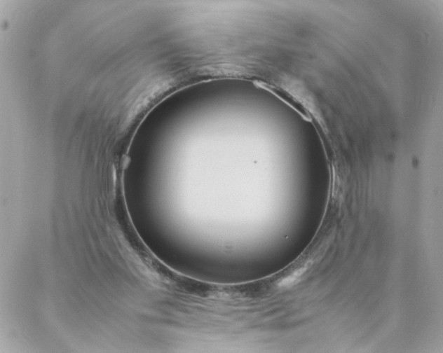 X0000087390109200705042020