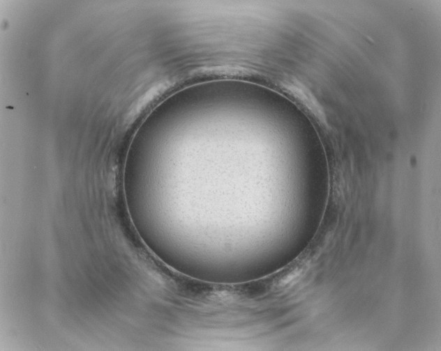 X0000087390111200705042020