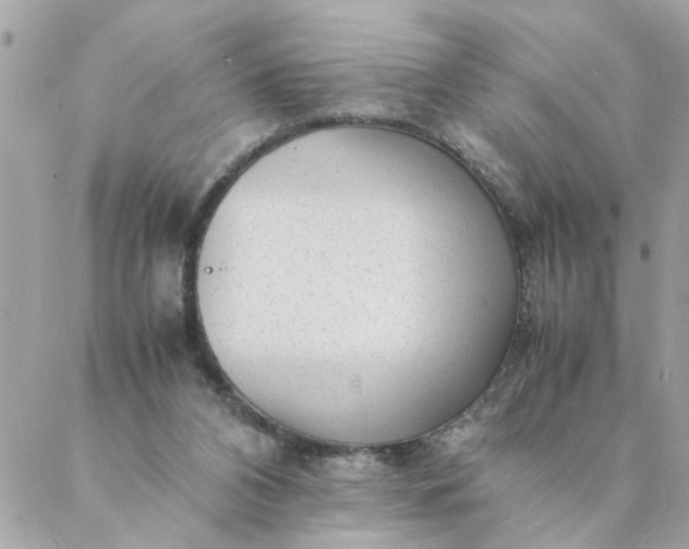 X0000087390112200705042020