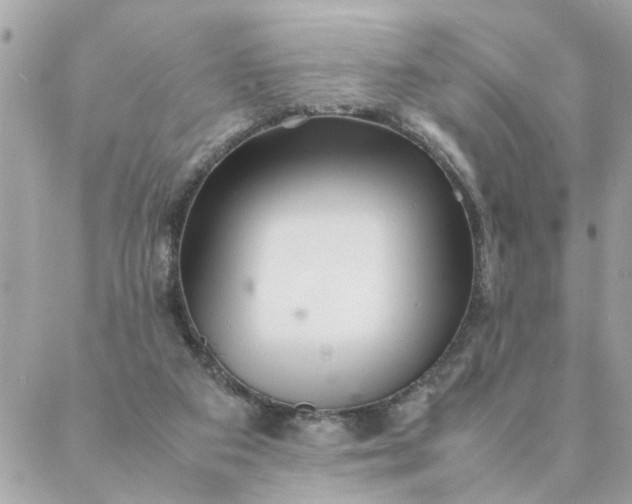 X0000087390113200705042020