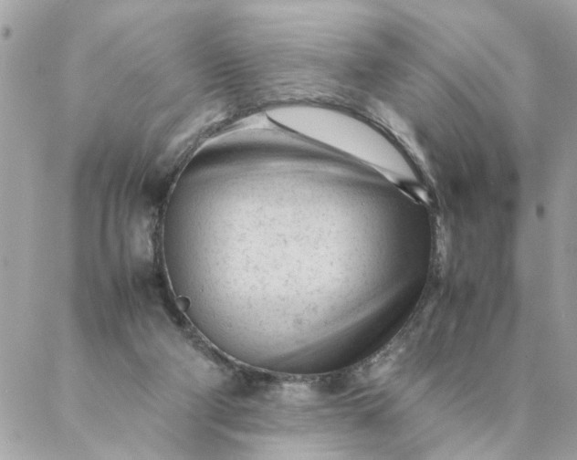 X0000087390114200705042020