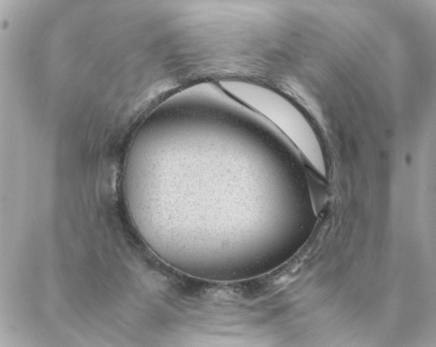 X0000087390115200705042020