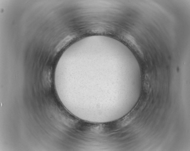 X0000087390116200705042020