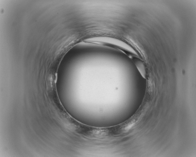 X0000087390117200705042020