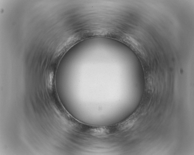 X0000087390118200705042020