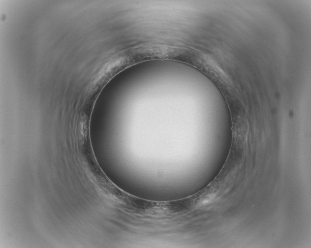 X0000087390119200705042020