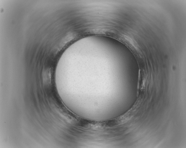 X0000087390120200705042020