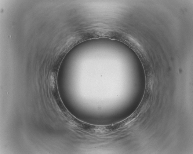 X0000087390121200705042020