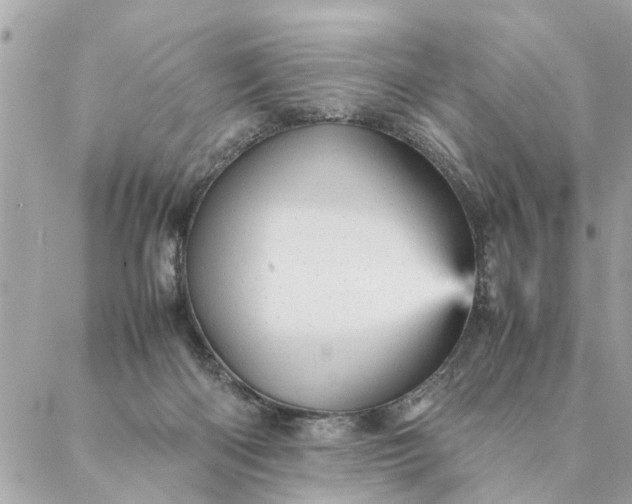 X0000087390122200705042020